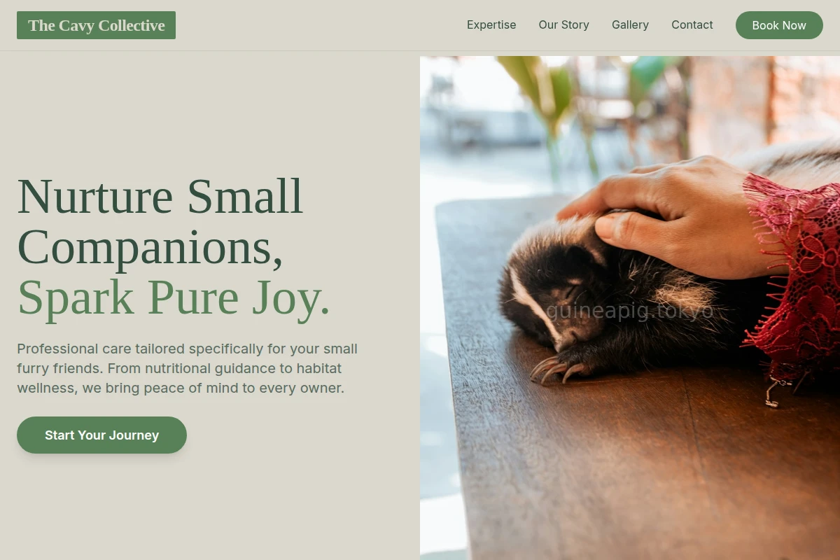 Petal Animal Care