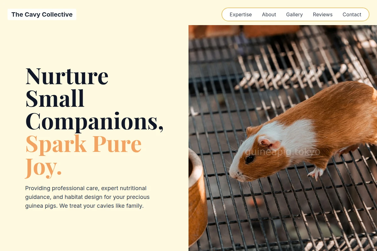 Cavy Animal Care