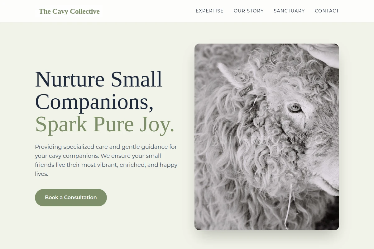 Zen Animal Care