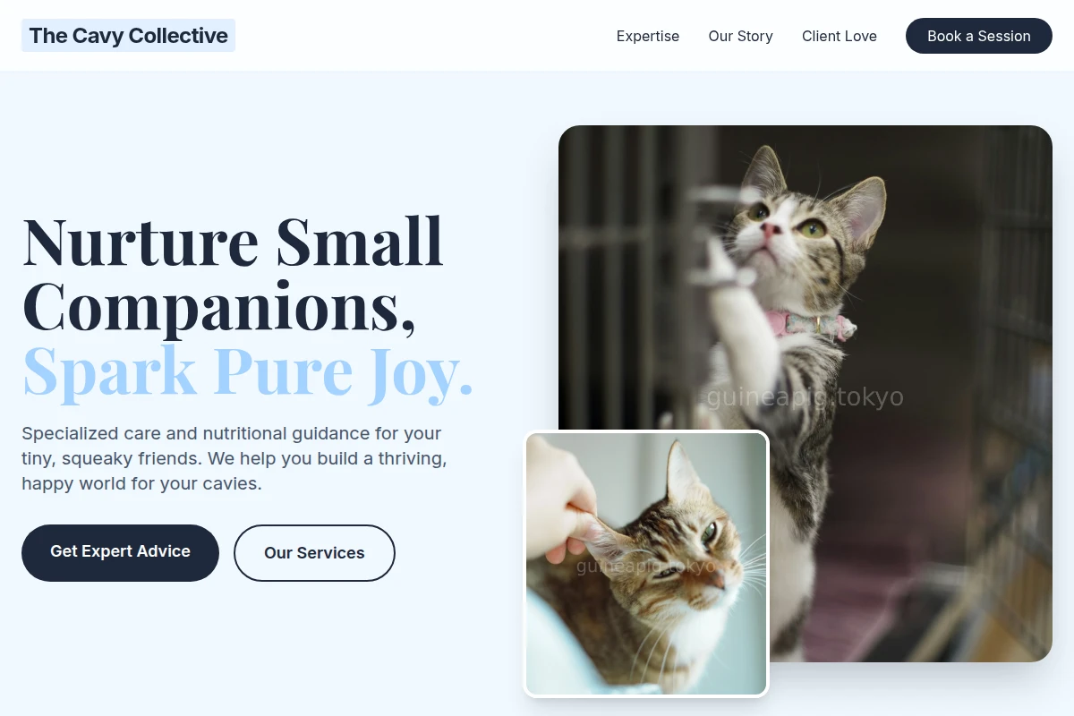Animal Animal Care