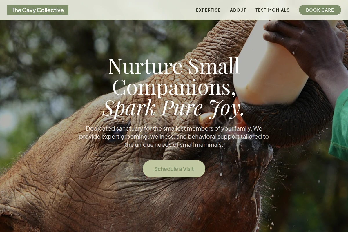 Local Animal Care