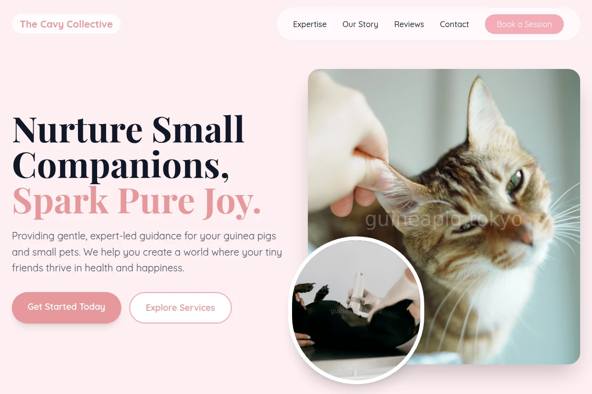 Kawaii Animal Care