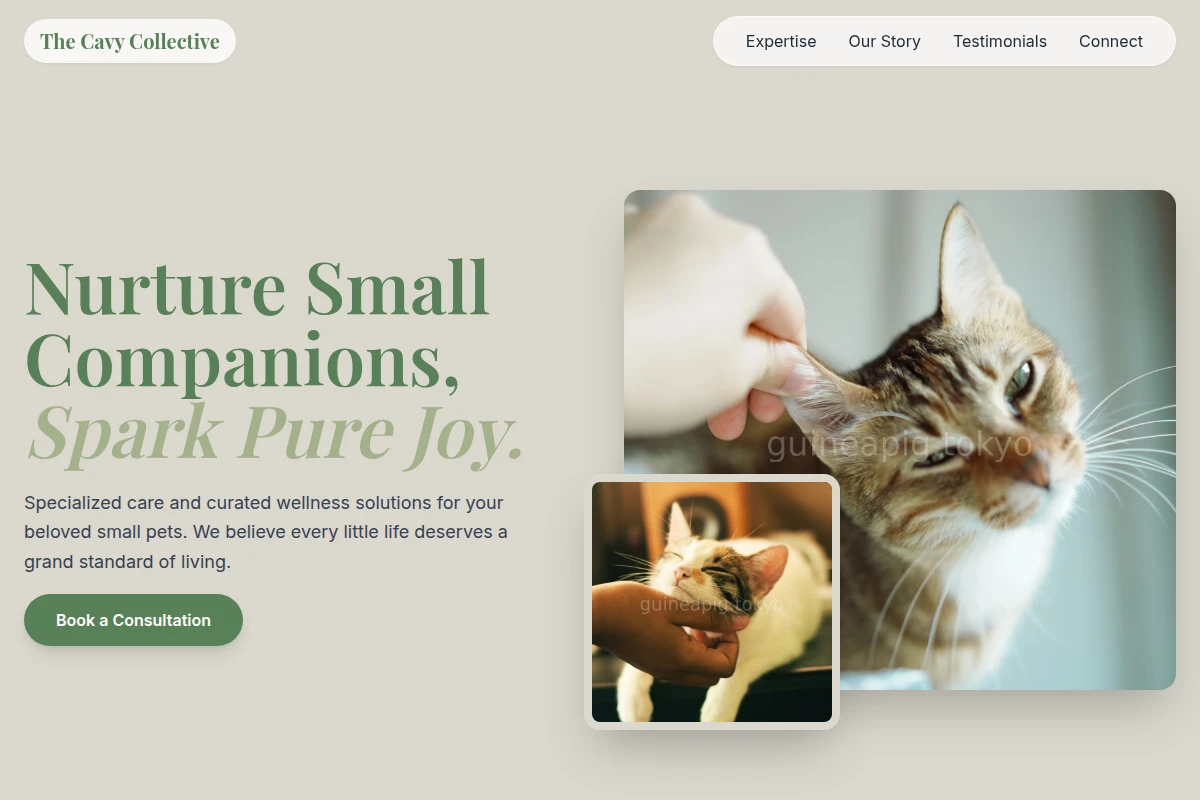 Curated Animal Care