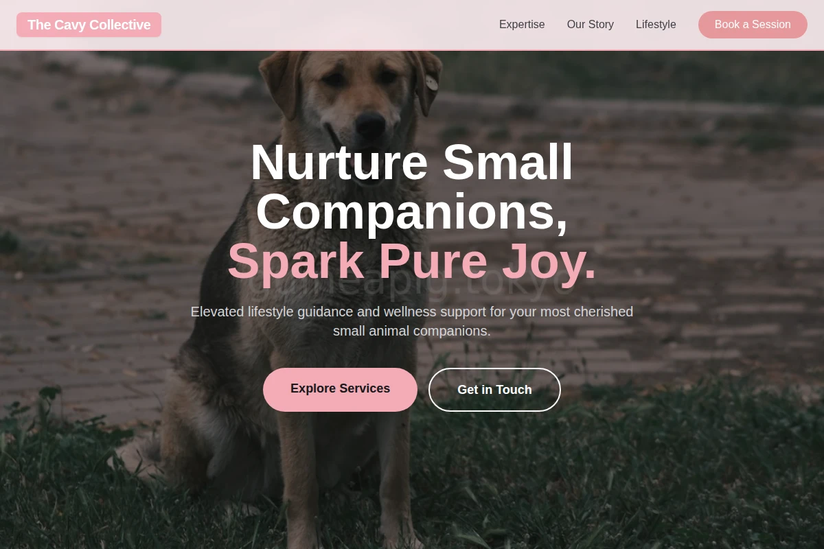 animal-care
