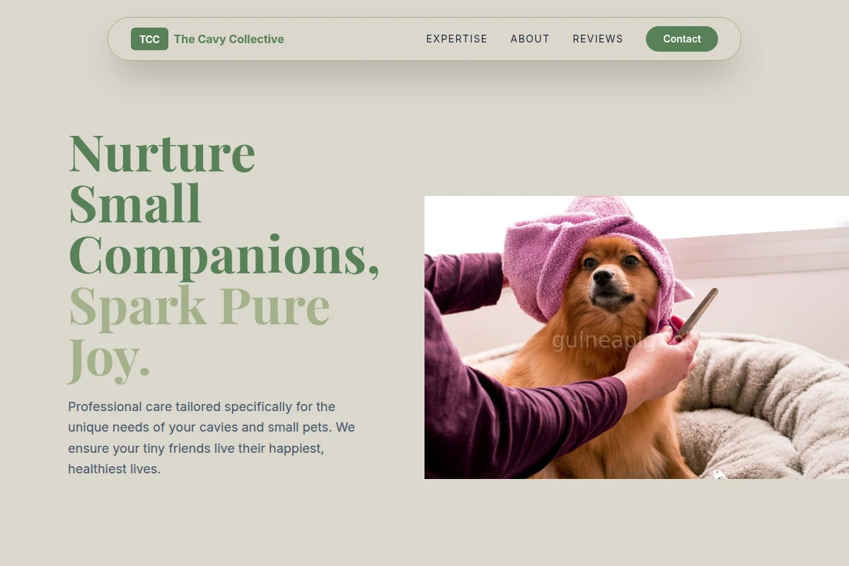 Paws Animal Care