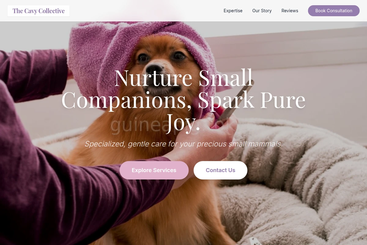 Animal Animal Care