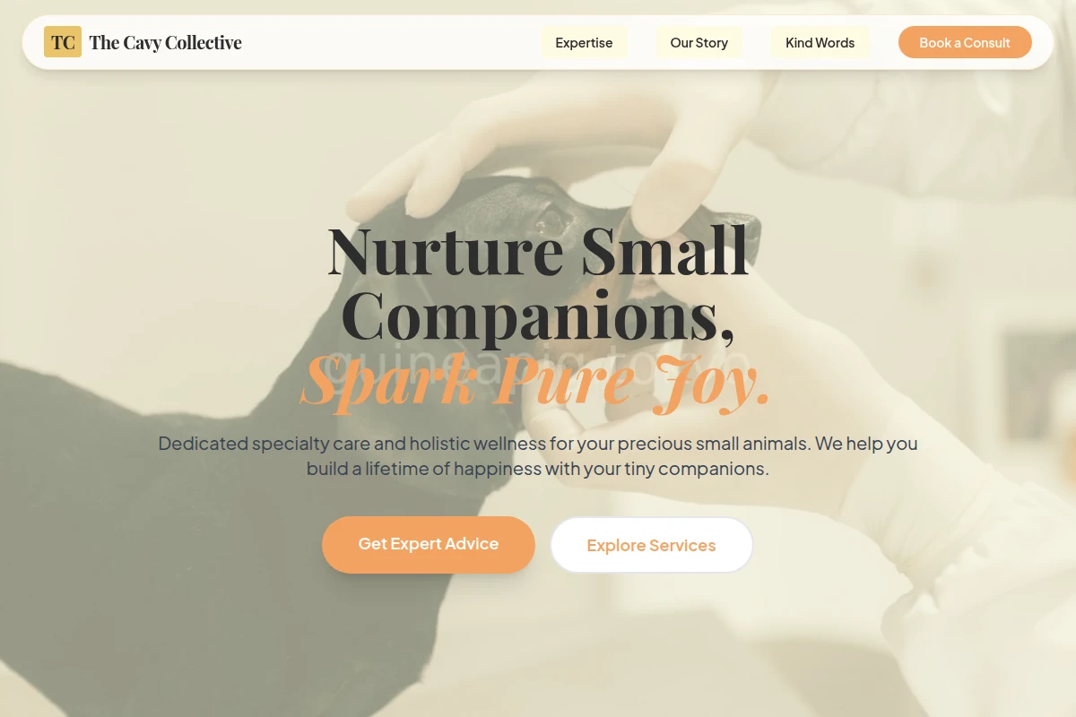 Bloom Animal Care