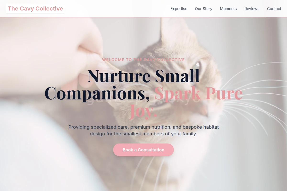 Plush Animal Care