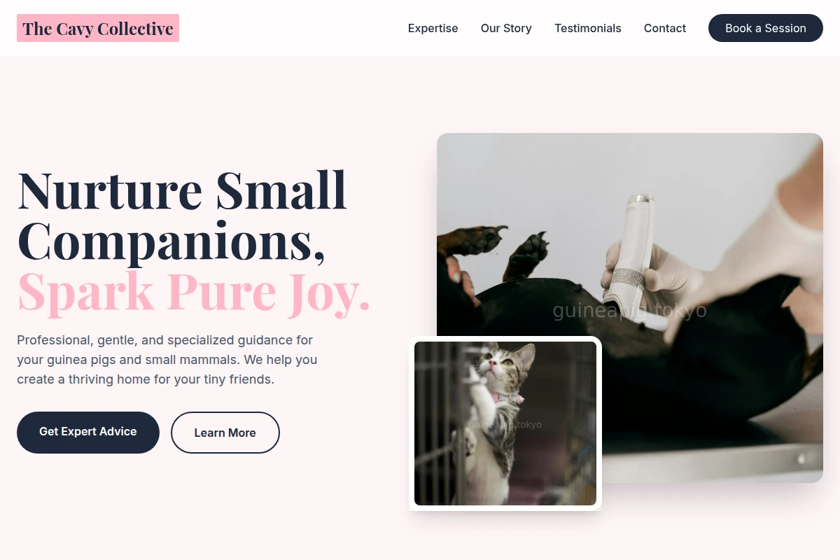 Companion Animal Care