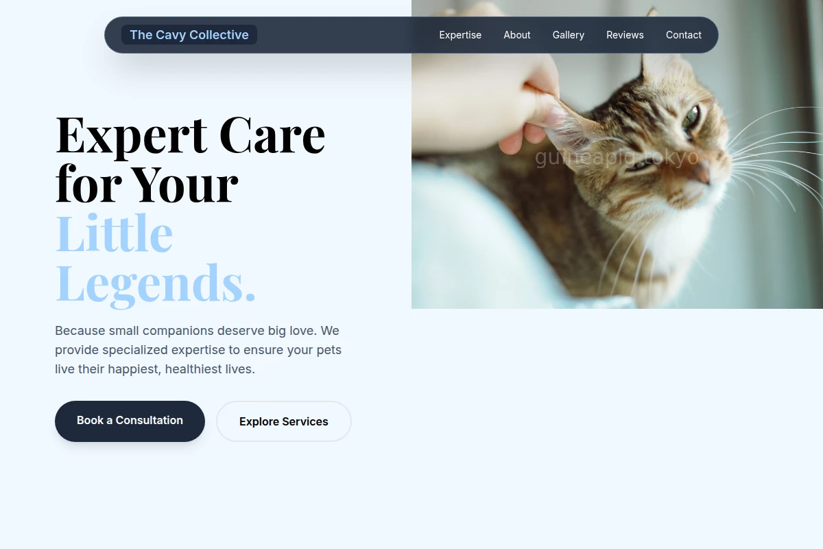 animal-care