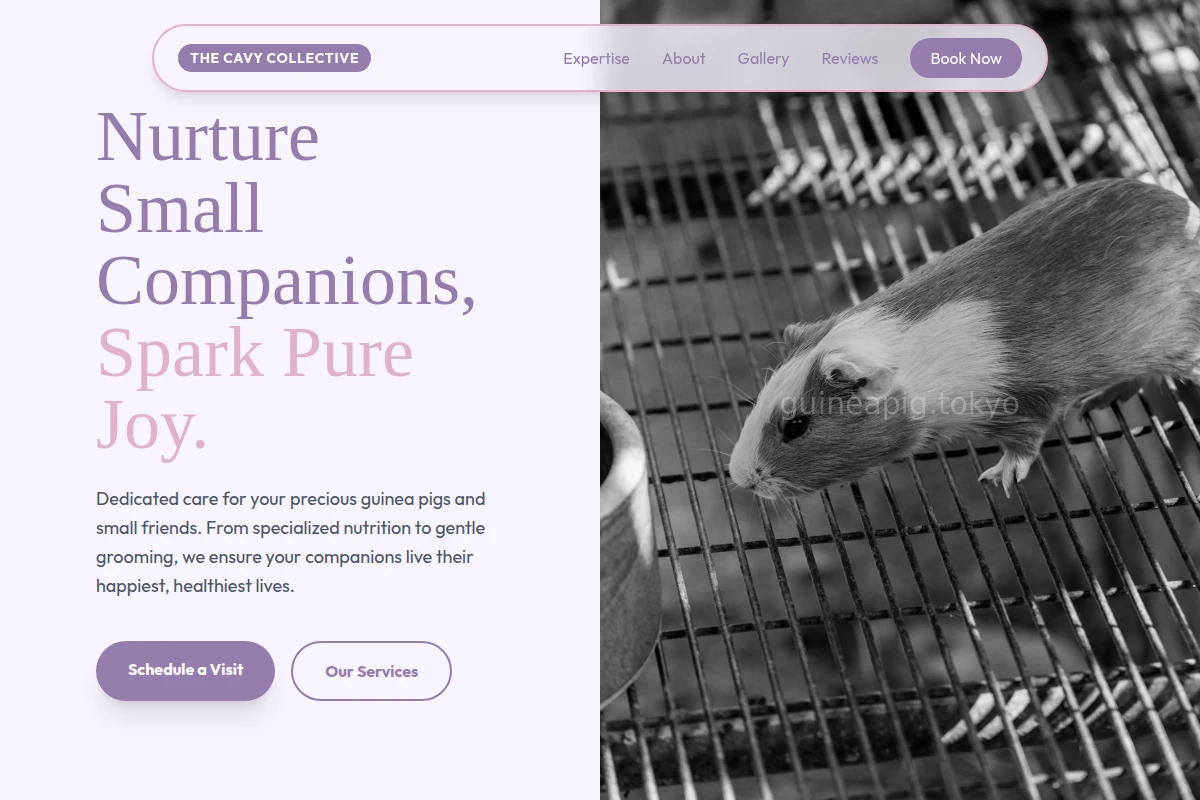 Cavy Animal Care