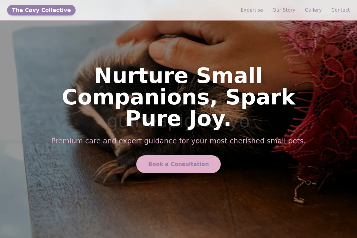 Burrow Animal Care