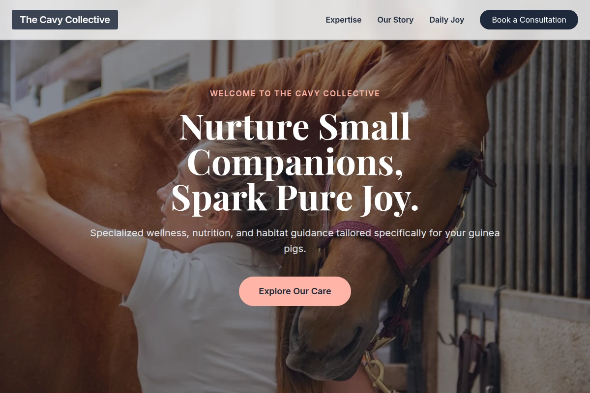 Cozy Animal Care