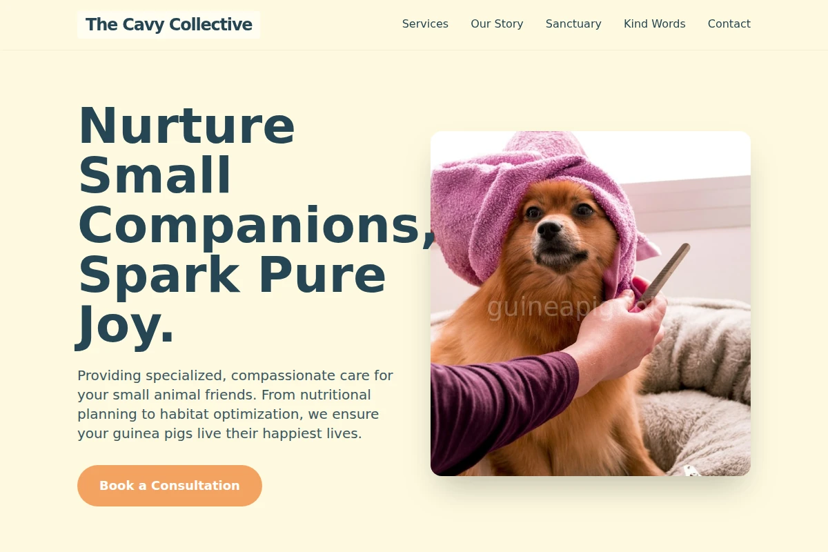 Companion Animal Care
