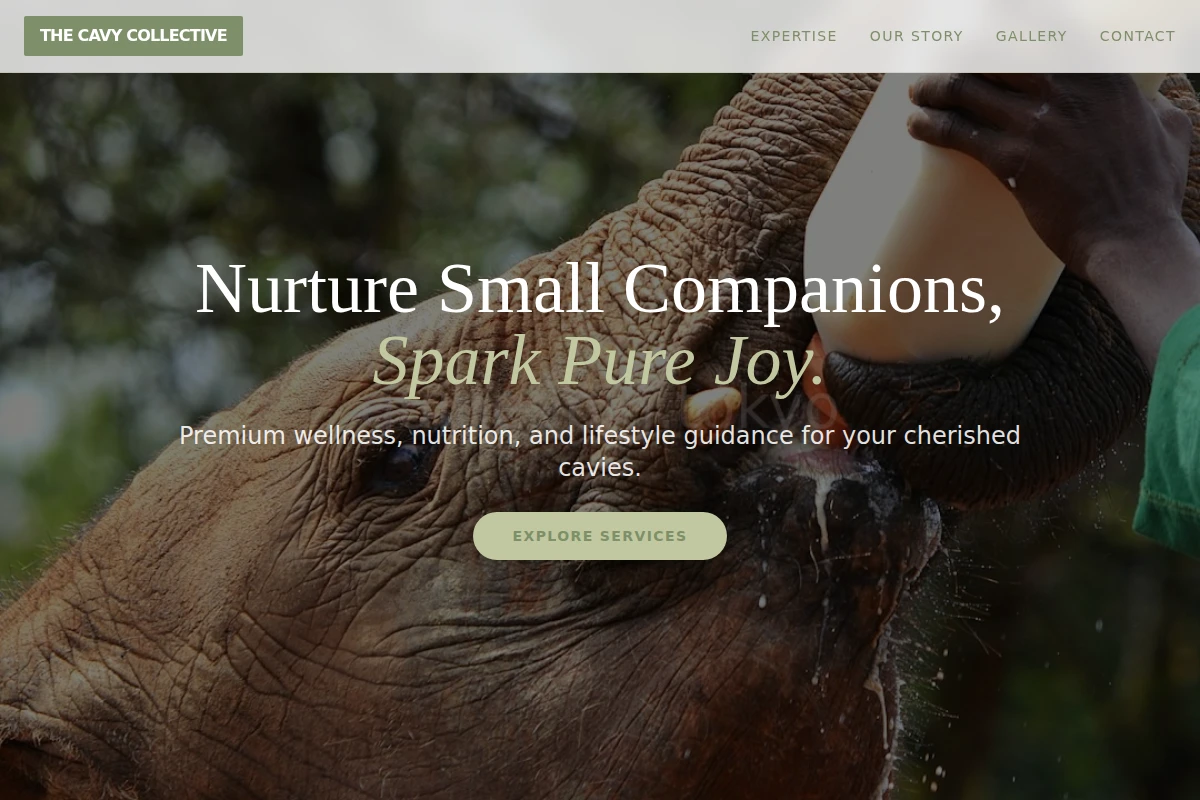 Wellness Animal Care
