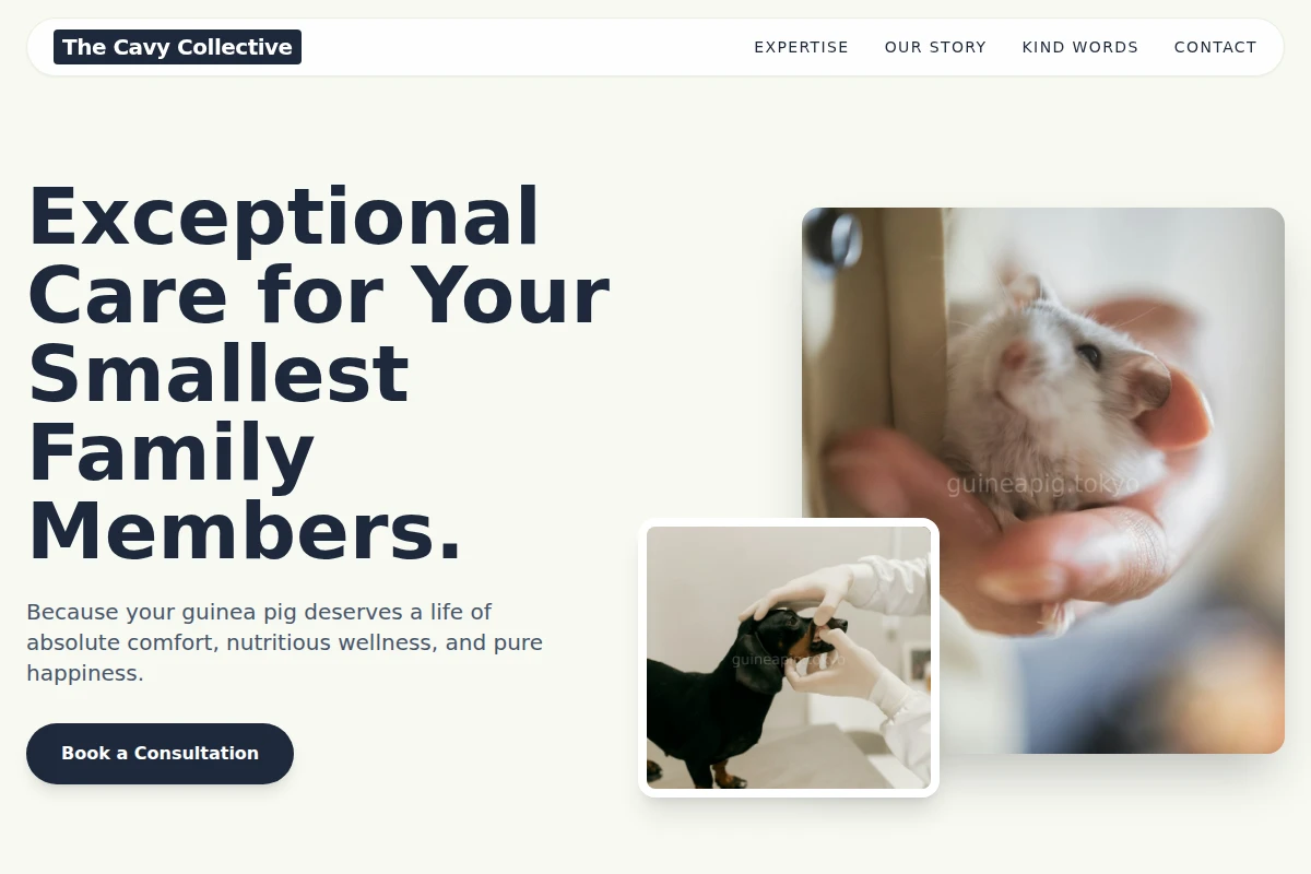 Cavy Animal Care