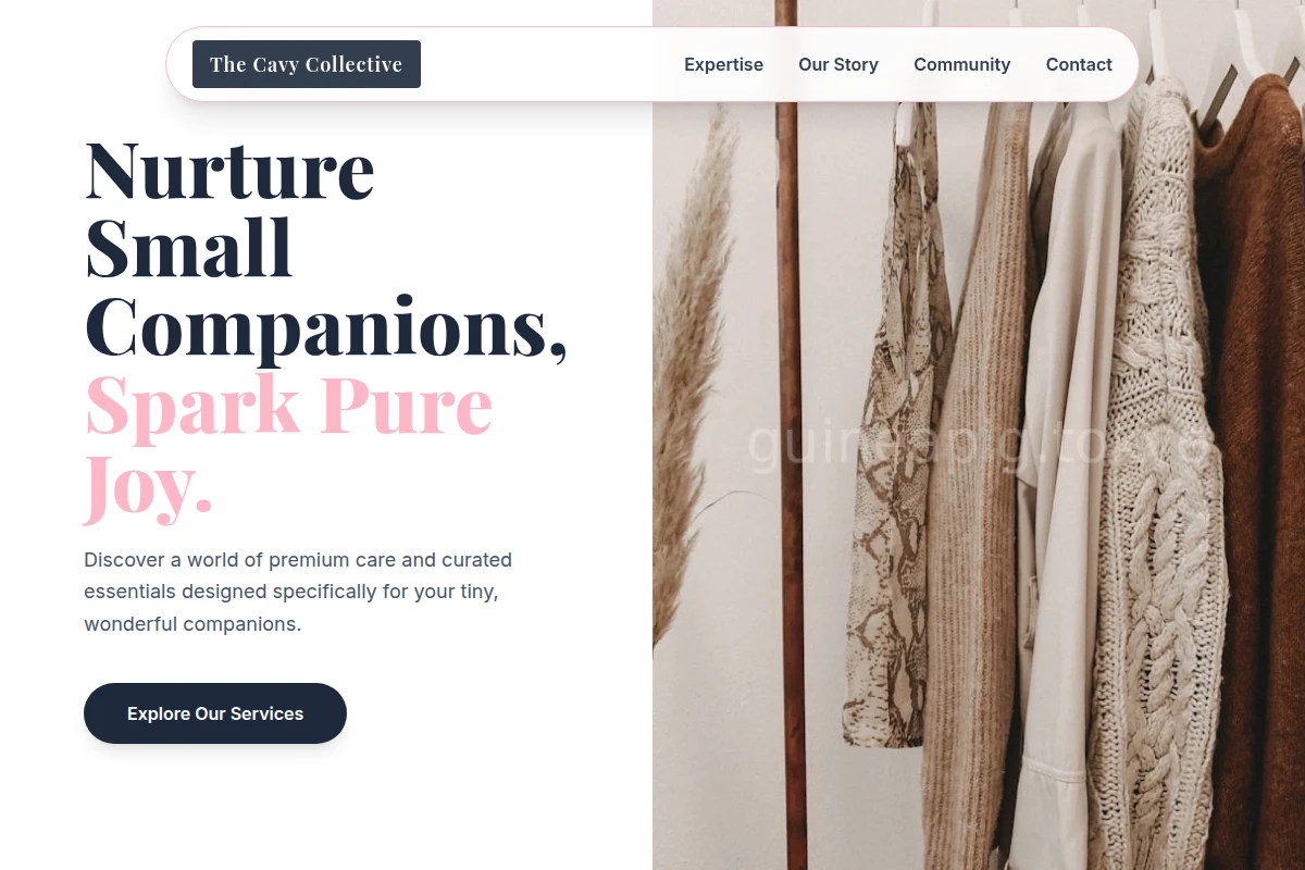 Whiskers Boutique