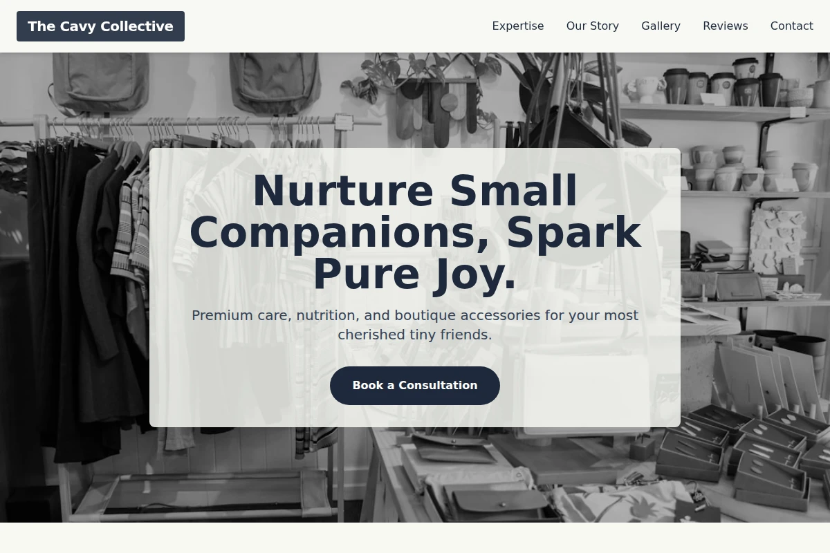 Companion Boutique