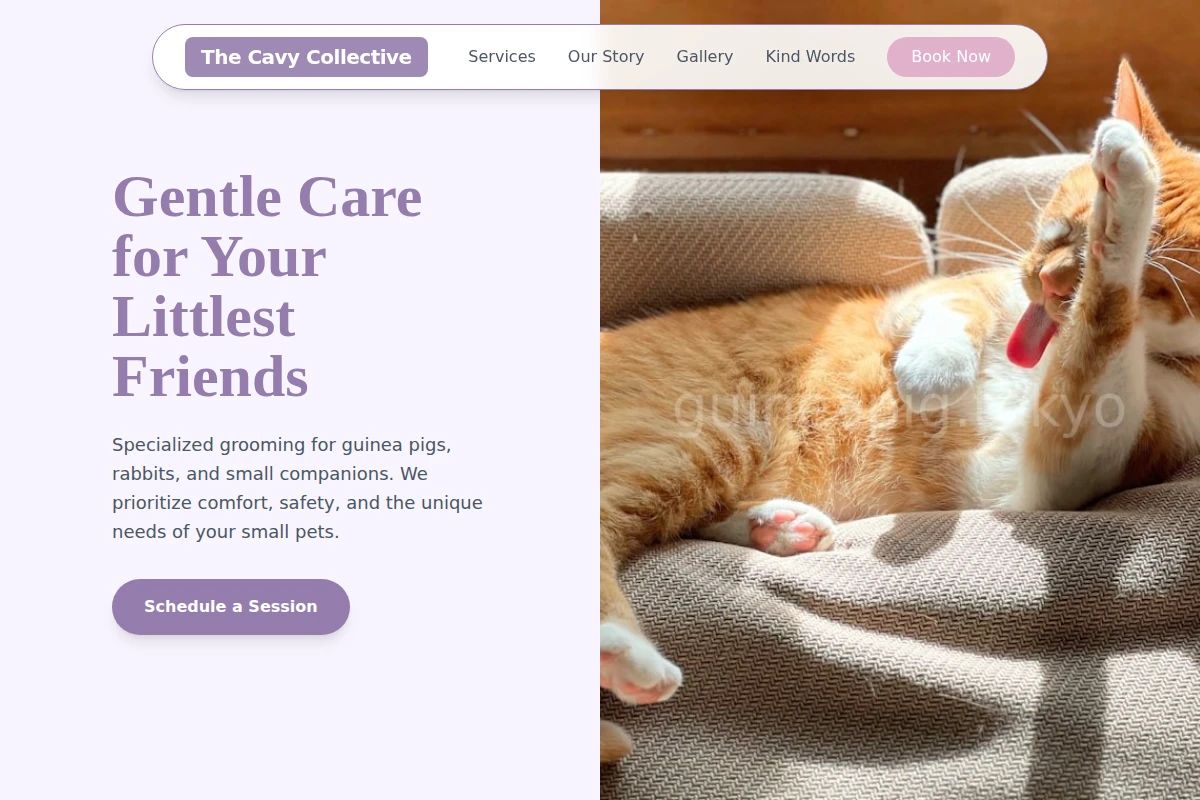 Soft Pet Grooming