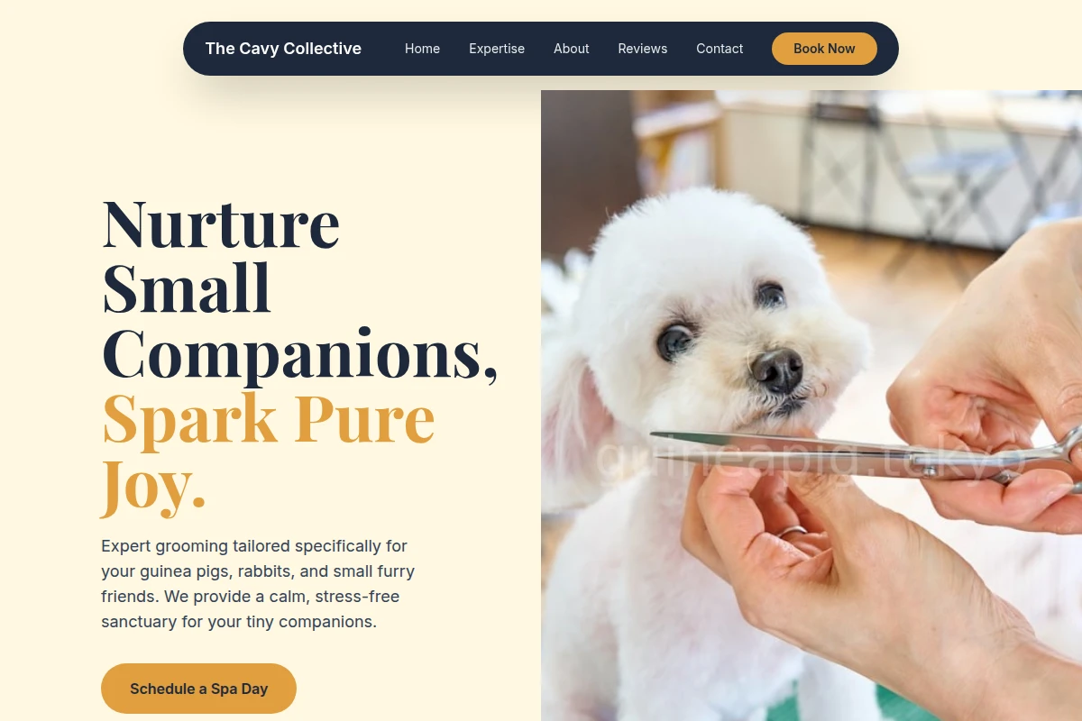 Treats Pet Grooming
