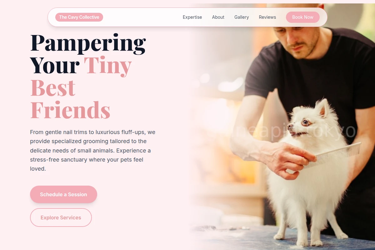 pet-grooming