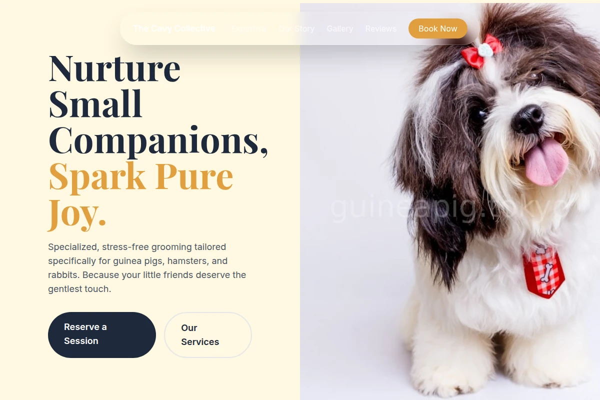 Tokyo Pet Grooming
