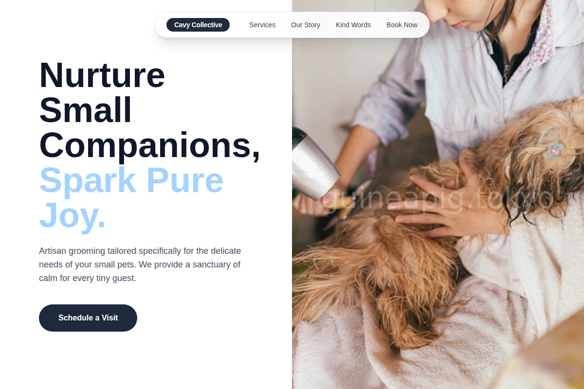 Artisan Pet Grooming