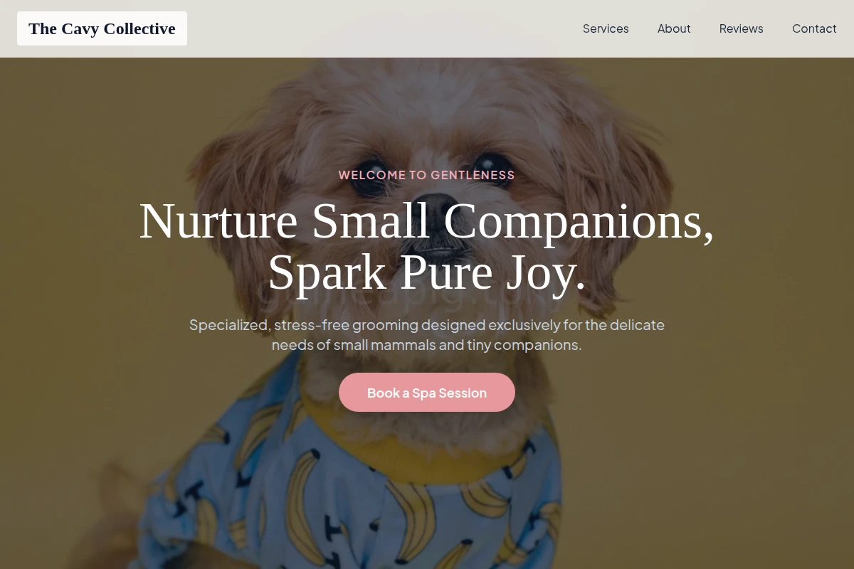 Plush Pet Grooming