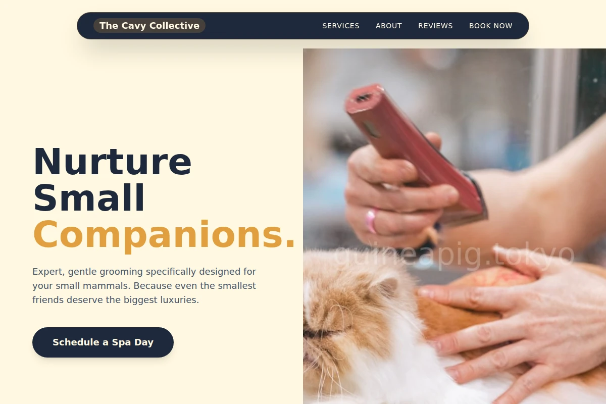 Cute Pet Grooming