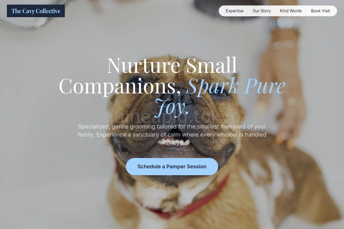 Petite Pet Grooming