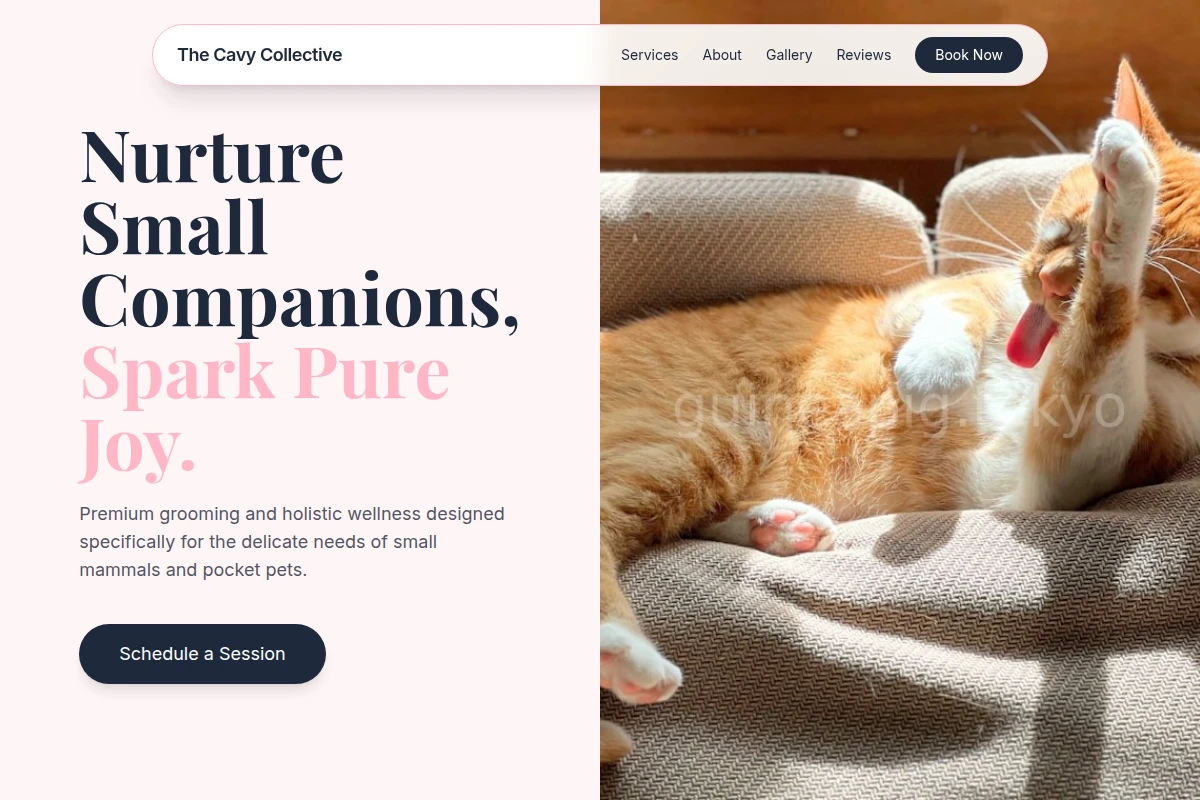 Gentle Pet Grooming
