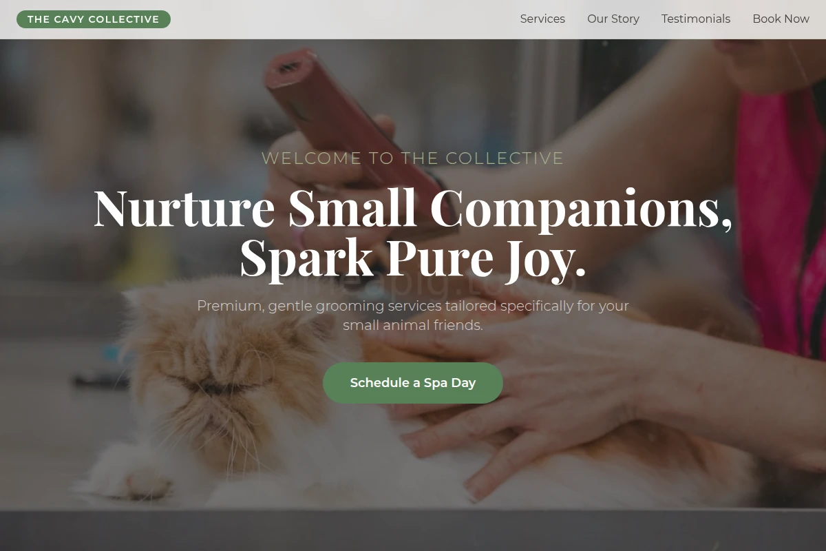 Cute Pet Grooming