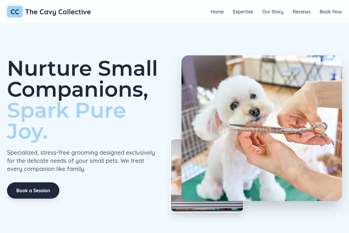 Pastel Pet Grooming