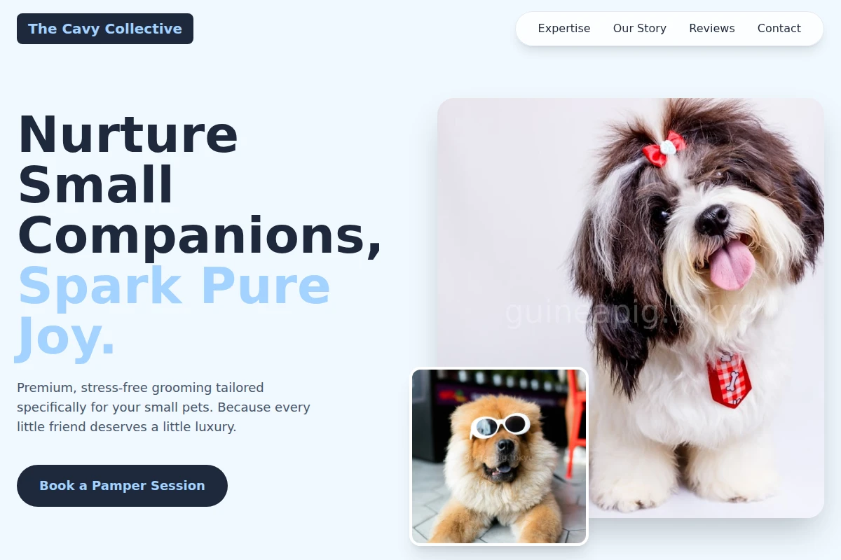 Plush Pet Grooming