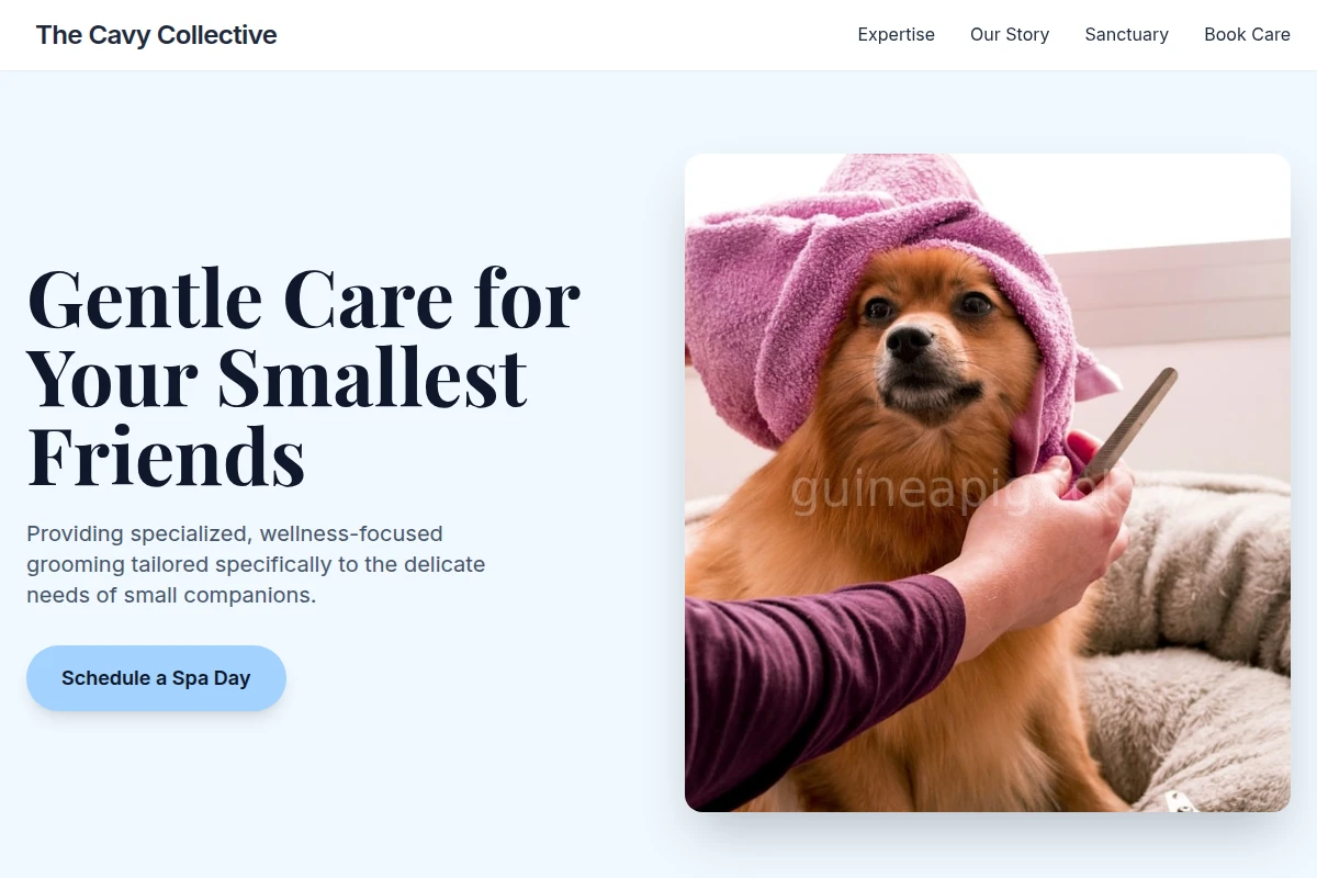 Wellness Pet Grooming