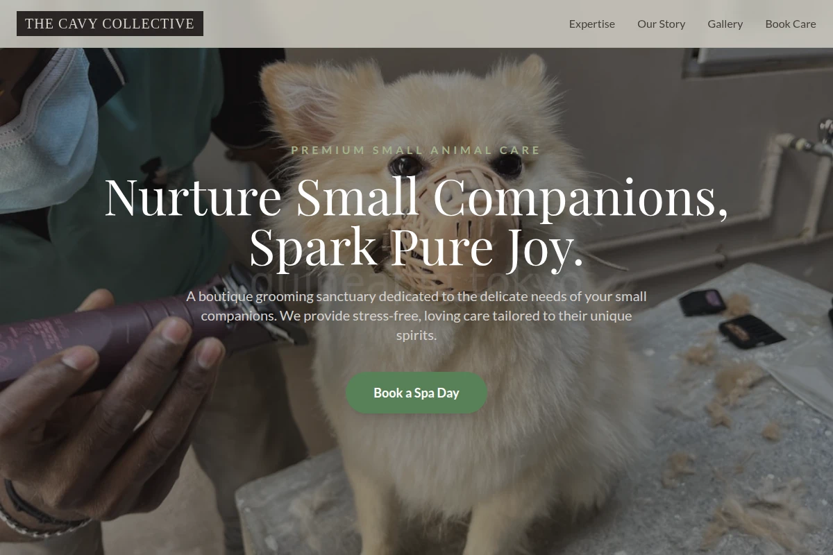Burrow Pet Grooming