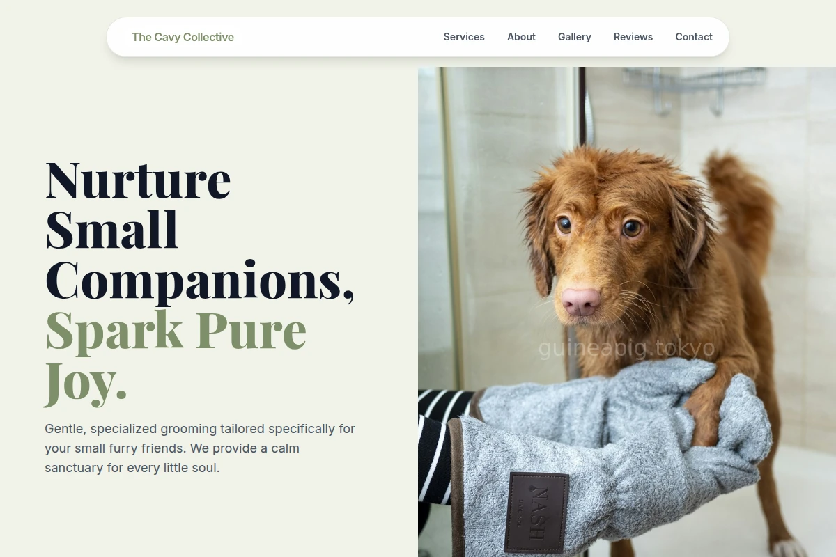 Cute Pet Grooming