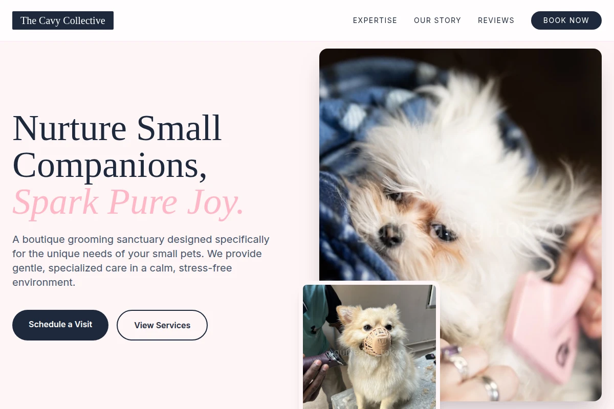 Curated Pet Grooming