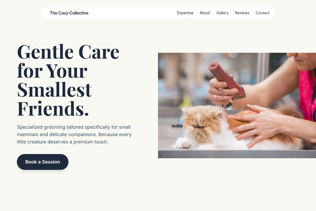 Soft Pet Grooming