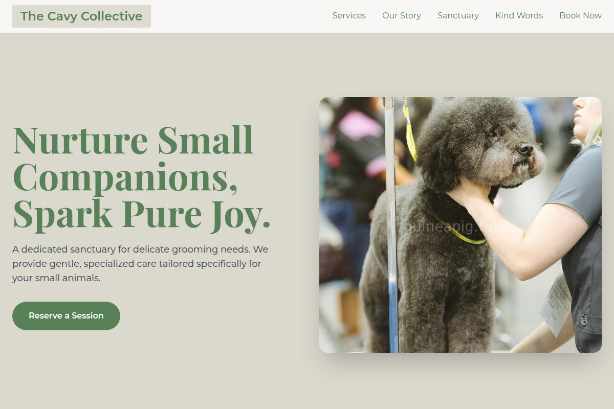 Delicate Pet Grooming