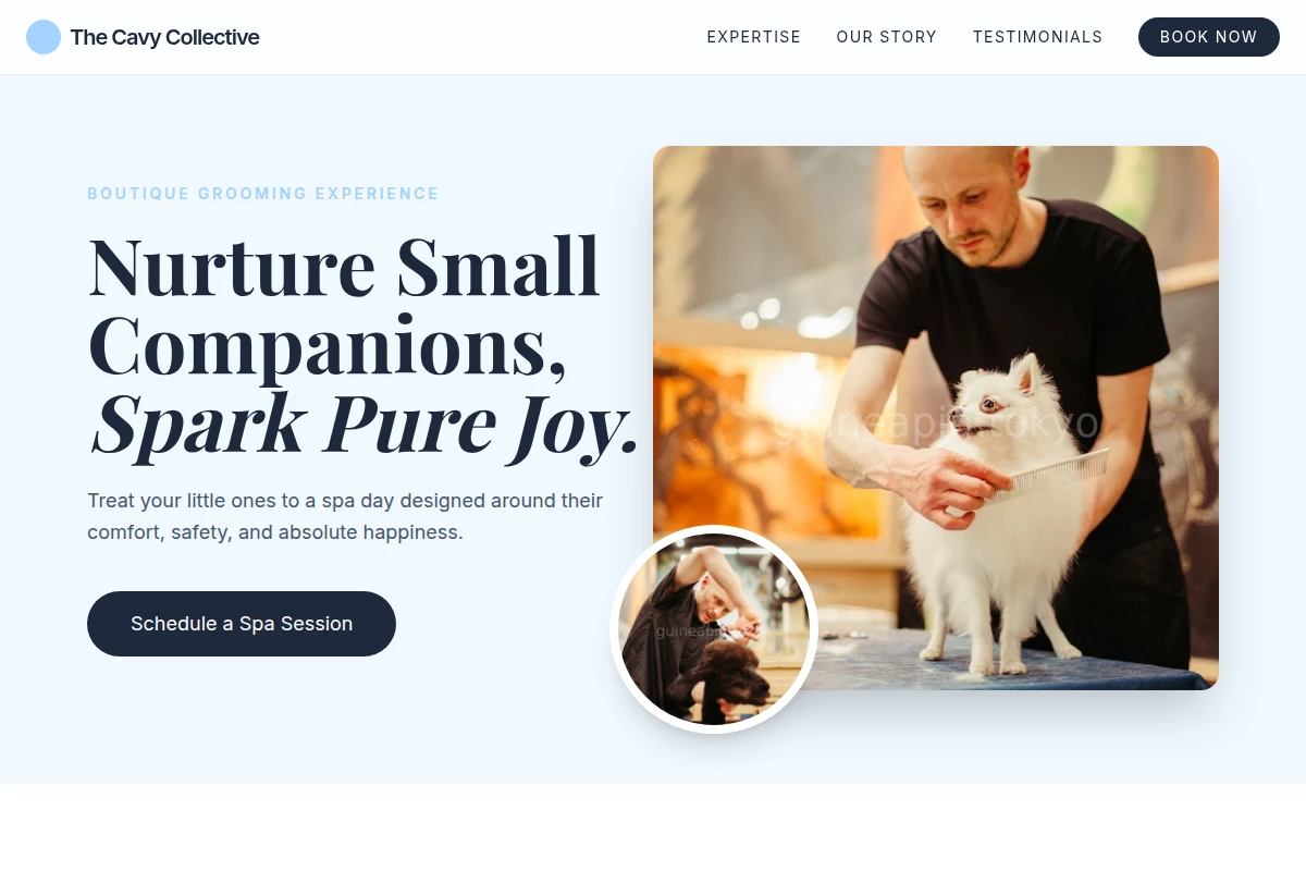 Boutique Pet Grooming