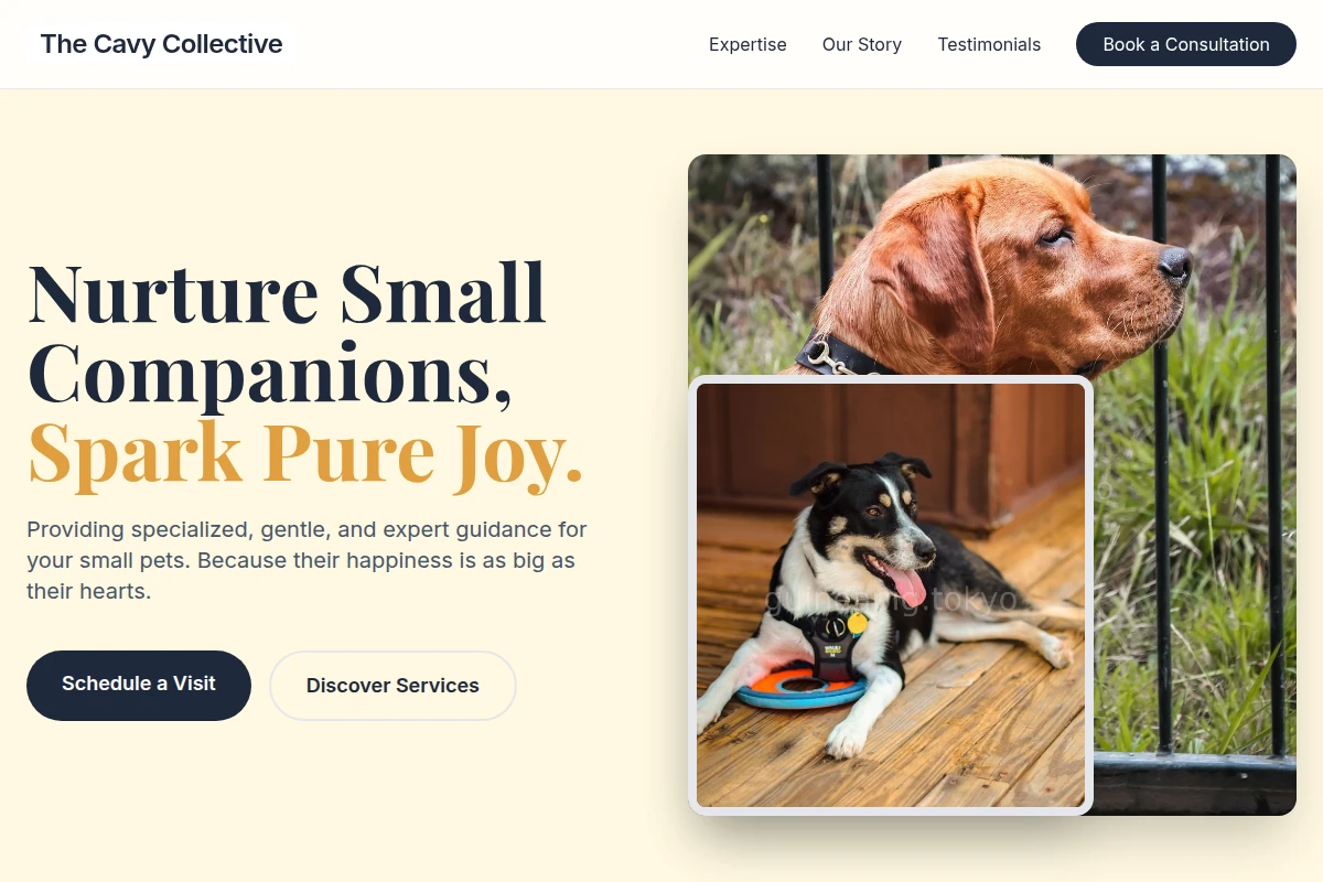 Pure Pet Services
