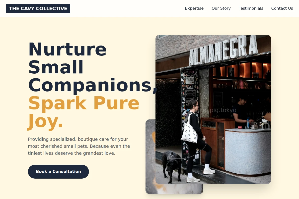 Care Pet Services