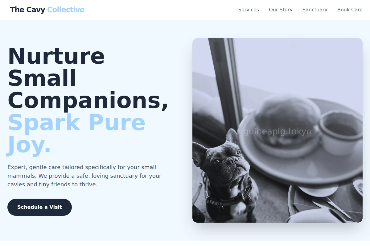 pet-services