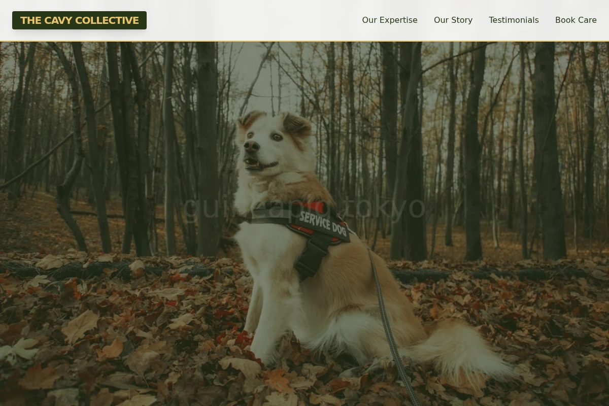 Care Pet Services