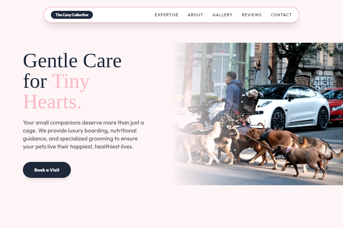 Squeak Pet Services