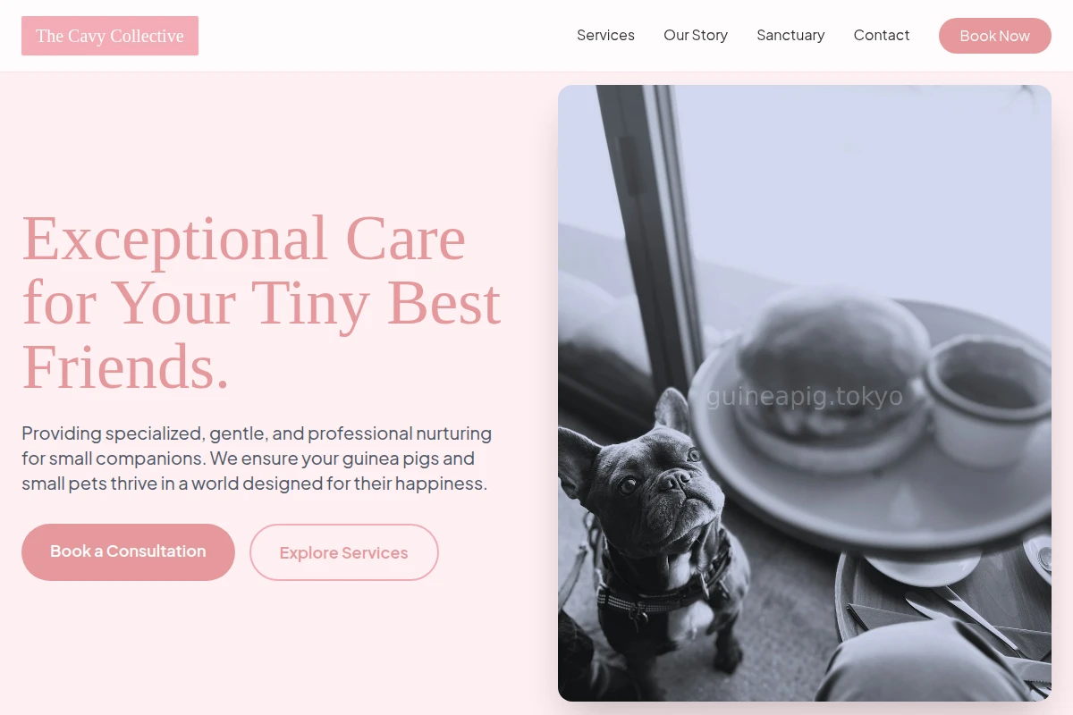 Paws Pet Services