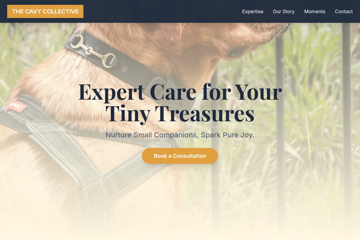 Niche Pet Services