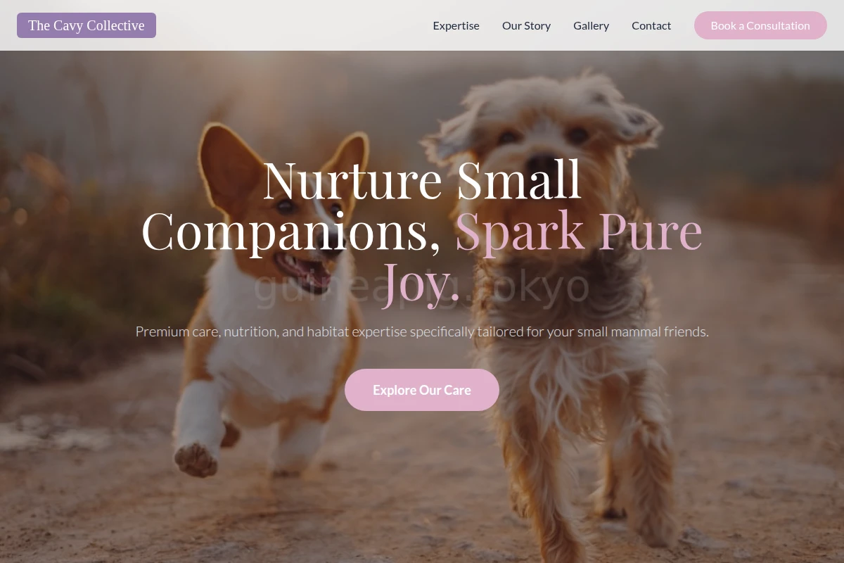 Pet Pet Shop