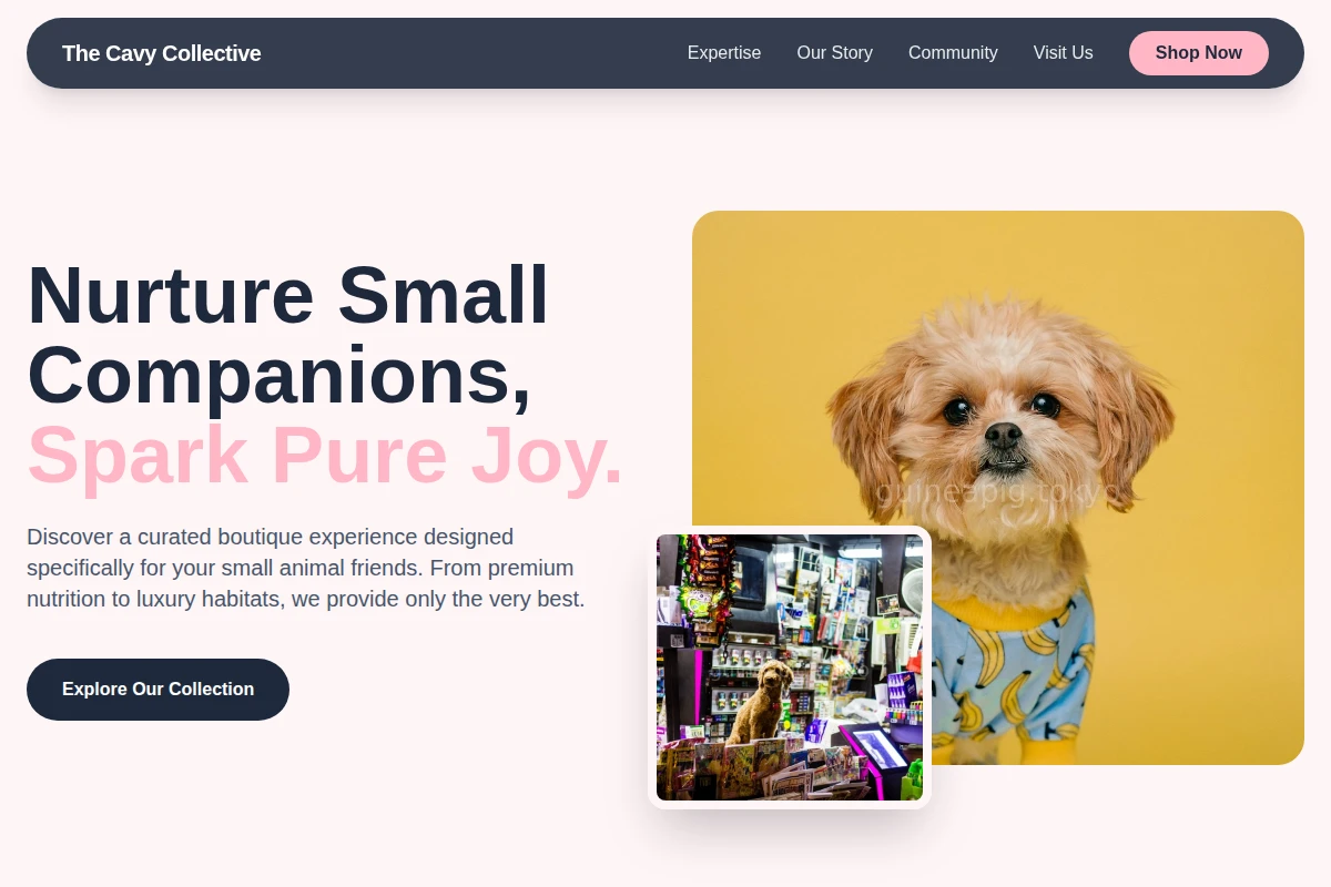 Boutique Pet Shop